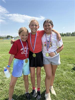 Sports Craze Olympic Day