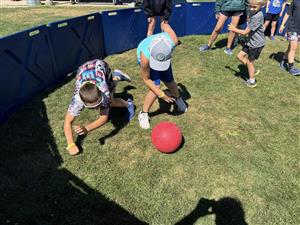 Sports Craze