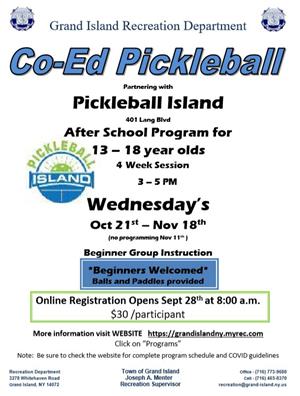 2020 Young Adult Pickleball Fall 